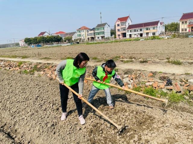 “借势”乐高乐园，金山这里将描绘全域“公益助农地图”