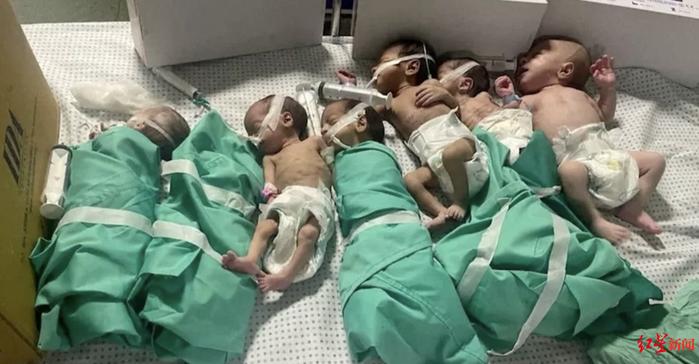 早产儿无保温箱、堆积尸体被狗吃，加沙最大医院下方到底有没有哈马斯的指挥中心？