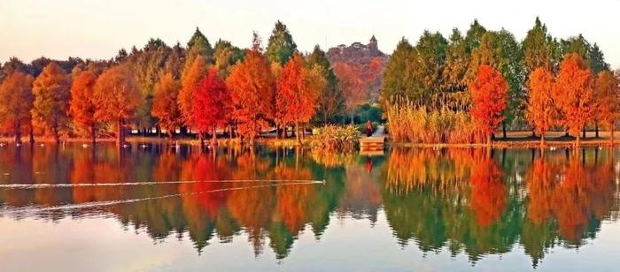 上海的秋，在这是一道赤橙黄绿青蓝紫