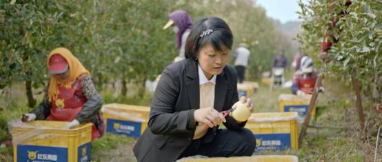 欢乐果园携手国家地理中文网探寻维纳斯苹果“有爱”风味