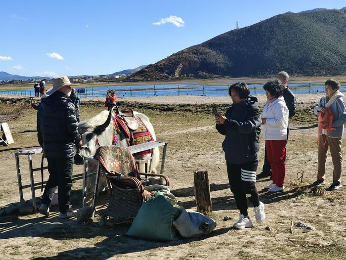 纳帕海景区旅游热度不减