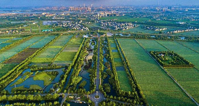 江苏苏州吴中区：在现代都市建设现代化农业