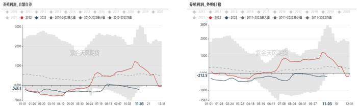 天气或成为影响四季度玉米价格关键因素