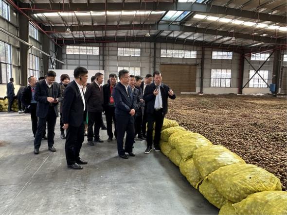 首届湖南油茶节 | 金浩茶油大展风采、交出亮眼“答卷”