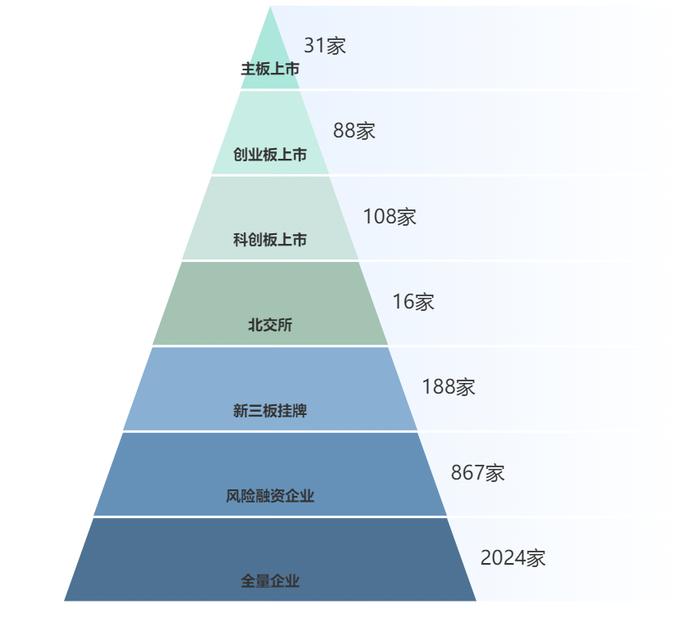 软件服务国家级专精特新报告：融资4000亿 北京多项指标第一