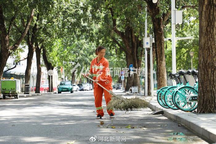 再现扫地僧！河北49岁环卫大姐用流利英语为外国人指路走红，退休后想