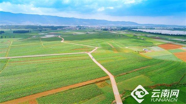 曲靖市麒麟区获批创建国家农业绿色发展先行区