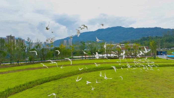 平昌创天府旅游名县‖许你一座美好的立体山水公园城市