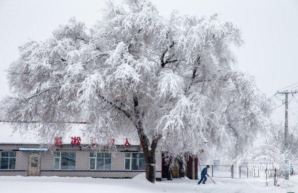 热雪沸腾｜不来吉林市看冰雪和雾凇，你这个冬天白过了