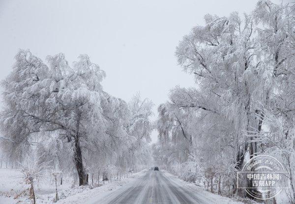 热雪沸腾｜不来吉林市看冰雪和雾凇，你这个冬天白过了