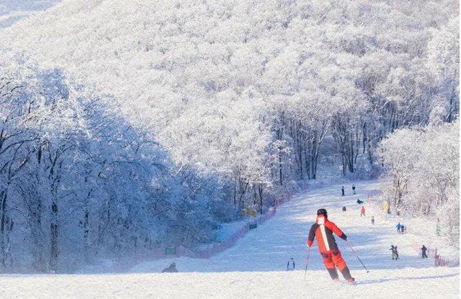 热雪沸腾｜不来吉林市看冰雪和雾凇，你这个冬天白过了