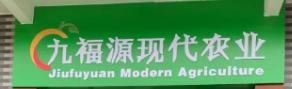 罗汉果企业「九福源现代农业」，来自广西桂林永福县，递交招股书，拟美国上市