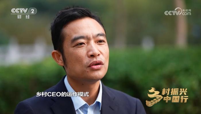 林龙接受央视财经频道《乡村振兴中国行》栏目采访，谈“乡村CEO模式”