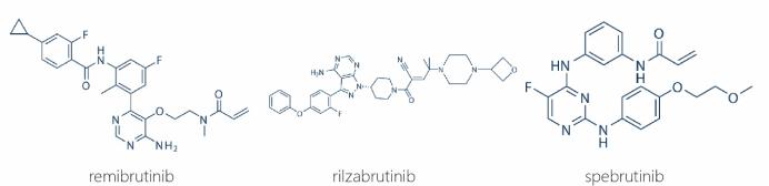 【速递】肝毒性担忧暂时落地，首个在自免领域取得3期成功的BTK抑制剂披露更多数据