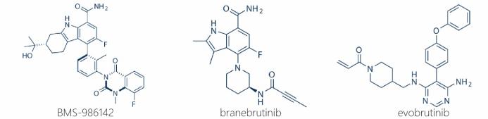 【速递】肝毒性担忧暂时落地，首个在自免领域取得3期成功的BTK抑制剂披露更多数据