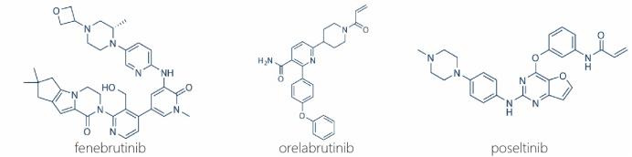 【速递】肝毒性担忧暂时落地，首个在自免领域取得3期成功的BTK抑制剂披露更多数据