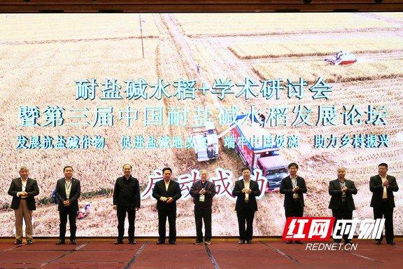 探讨中国“第二粮仓”建设 第三届中国耐盐碱水稻发展论坛举行