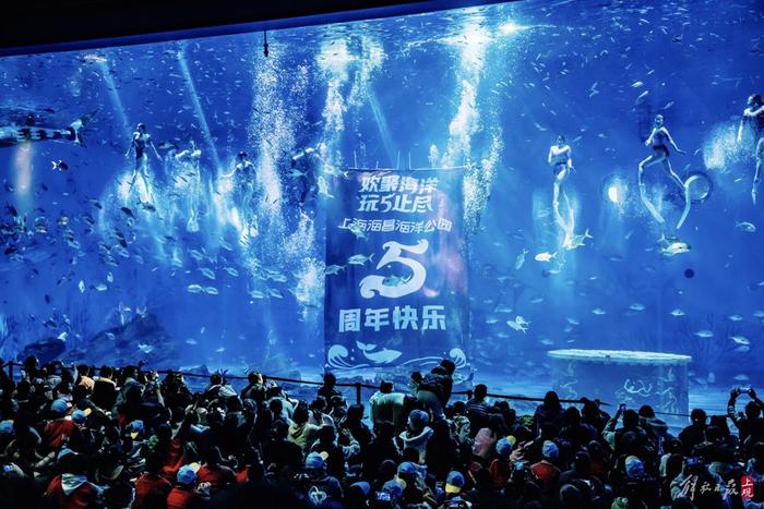 上海海昌海洋公园“有喜事” 11月生日游客“有惊喜”