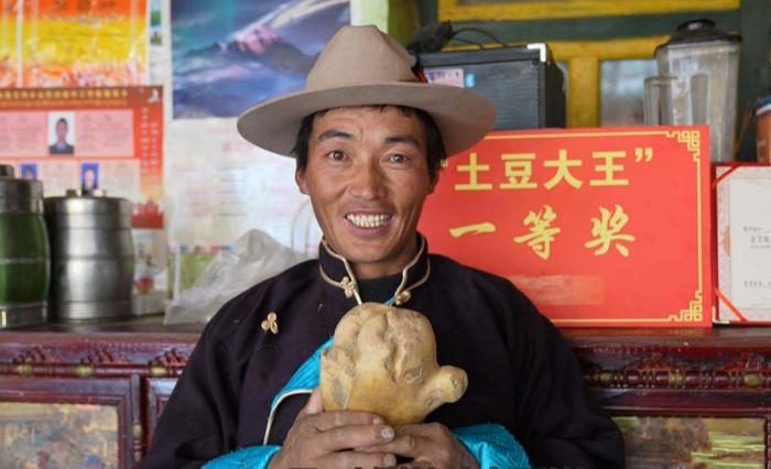 南木林县：“土豆大王”在我家