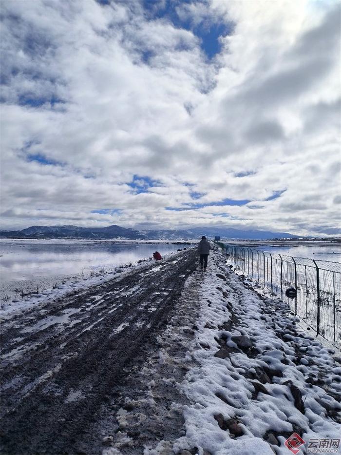 纳帕海雪景 体验不一样的云南冬季风光