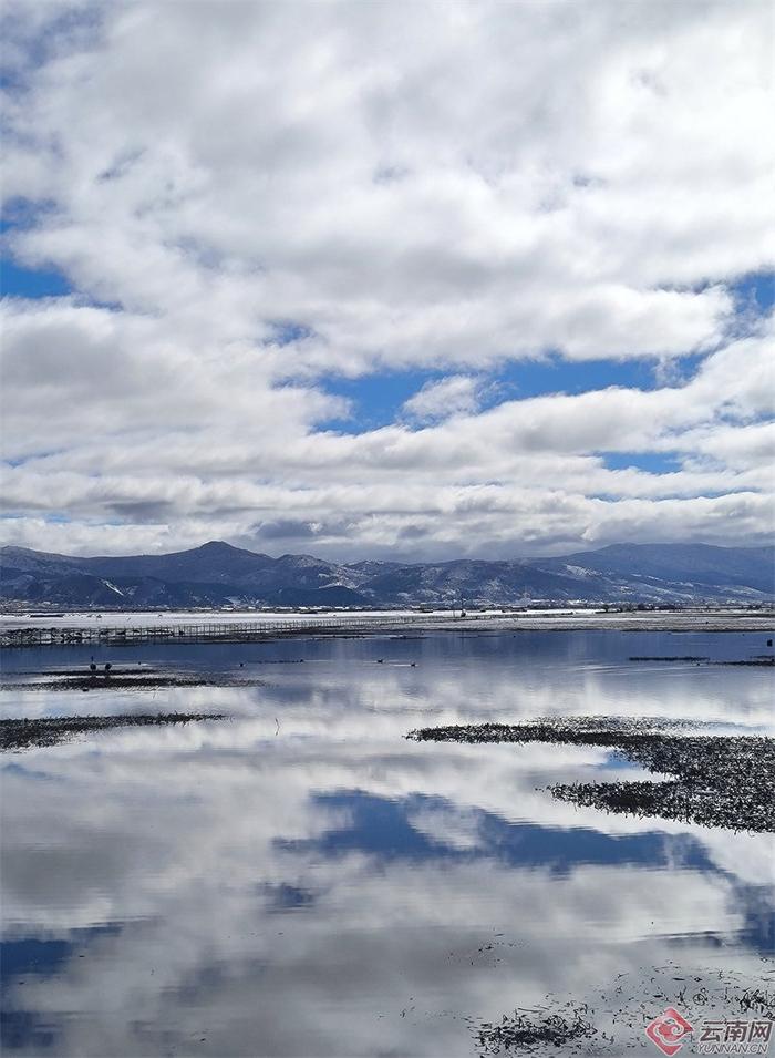 纳帕海雪景 体验不一样的云南冬季风光