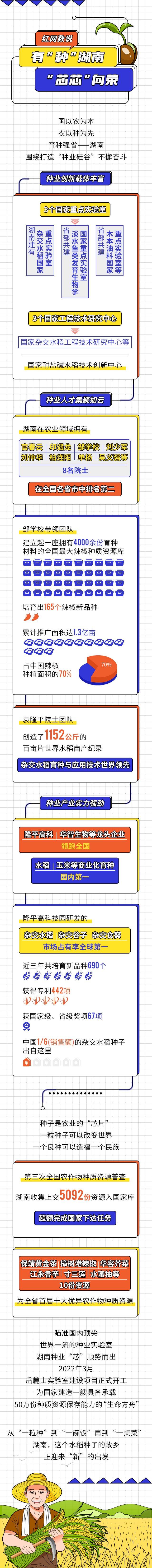 红网数说丨有“种”湖南 “芯芯”向荣