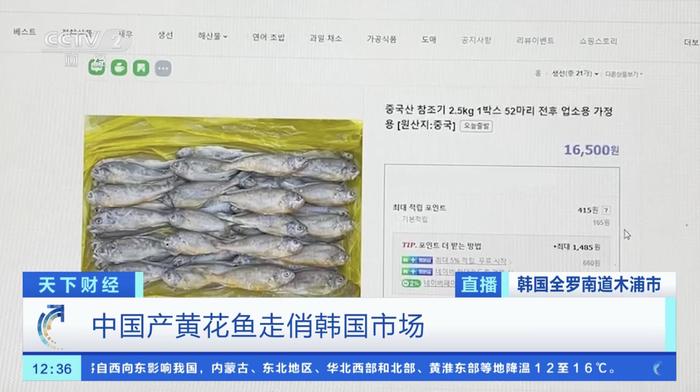 韩国黄花鱼“出走”，捕捞量锐减！中国产黄花鱼走俏韩国市场
