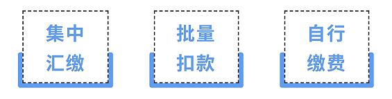 本市2024年度城乡居民医保参保登记和个人缴费即日起开始受理