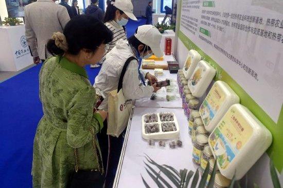 中国热科院生物所太空育种甘蔗及深加工食品亮相深圳高交会