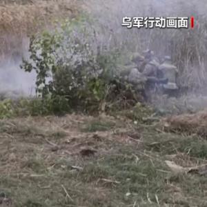 【责任编辑:王金志 】