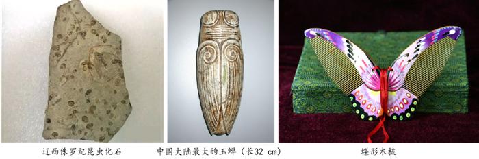 最早可追溯至1857年，标本量全国第二！北京博物馆+1，免费参观