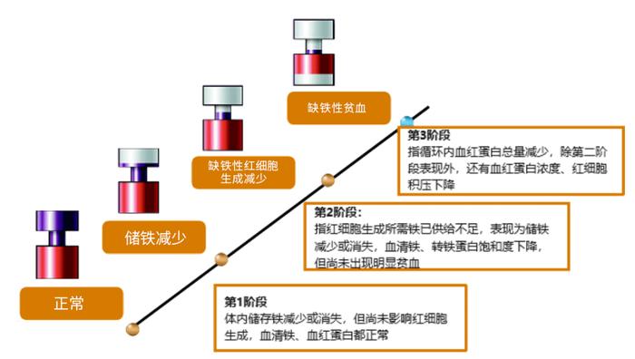 sTfR-缺铁性贫血诊断新指标