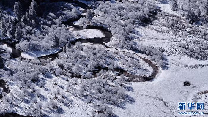 云南普达措：雪霁初晴 银装素裹分外美丽