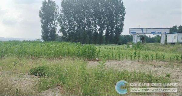 湖北襄阳市樊城区：87家非法砂场复绿1000余亩