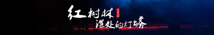 湛江原创音乐剧《红树林深处的灯塔》入选第十五届广东省艺术节终评，11月22日深圳滨海艺术中心隆重献演！