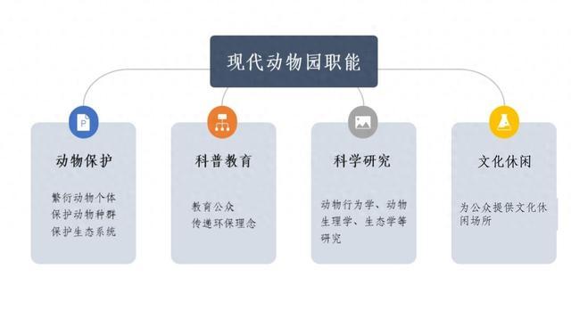 城市里的动物园都有哪些作用？来听讲→