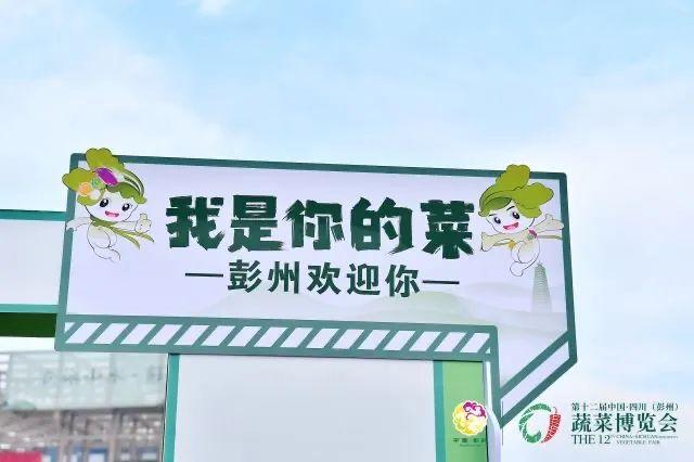 “菜立方”首次亮相！第十二届中国·四川（彭州）蔬菜博览会今日开幕