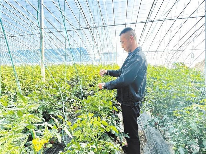 旬邑县现代农业产业（蔬菜）示范园项目：打造农文旅融合田园综合体