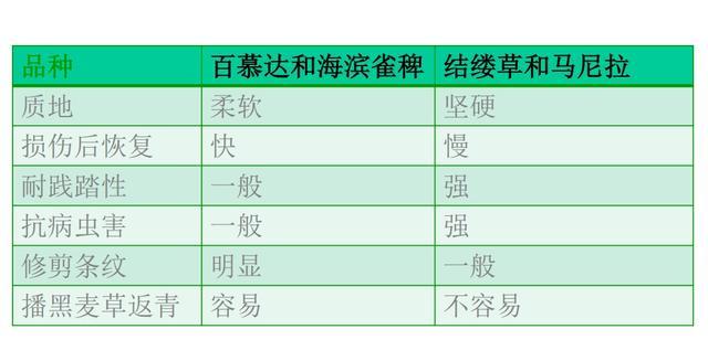 静安这八座公园有草坪可以“踩一踩”！“踩”与“不踩”的草坪有何不同