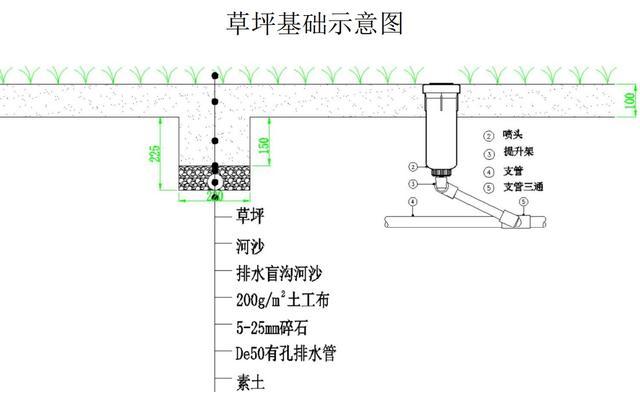 想在绿地上踏个青？静安8座公园设有开放草坪