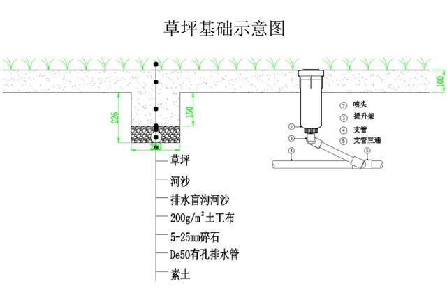 静安这八座公园有草坪可以“踩一踩”！“踩”与“不踩”的草坪有何不同