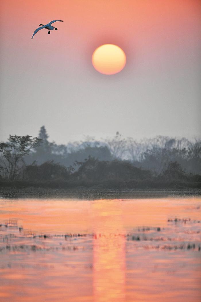 从锦江到湘江 天地一沙鸥 ——重走杜甫晚岁漂泊路