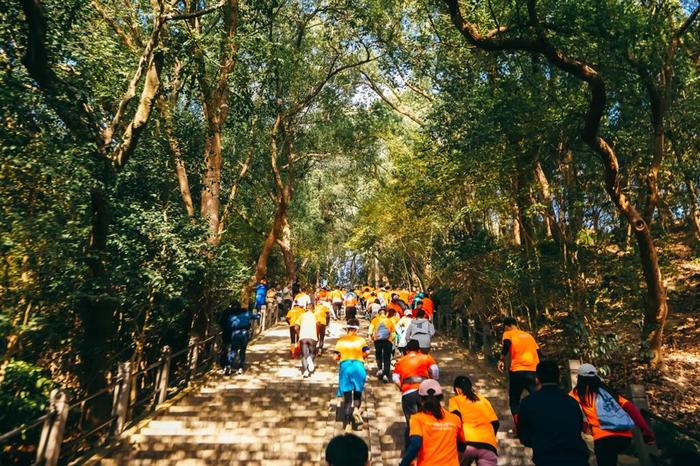 登山新体验 首场室外登高赛在上海佘山国家森林公园鸣笛开跑