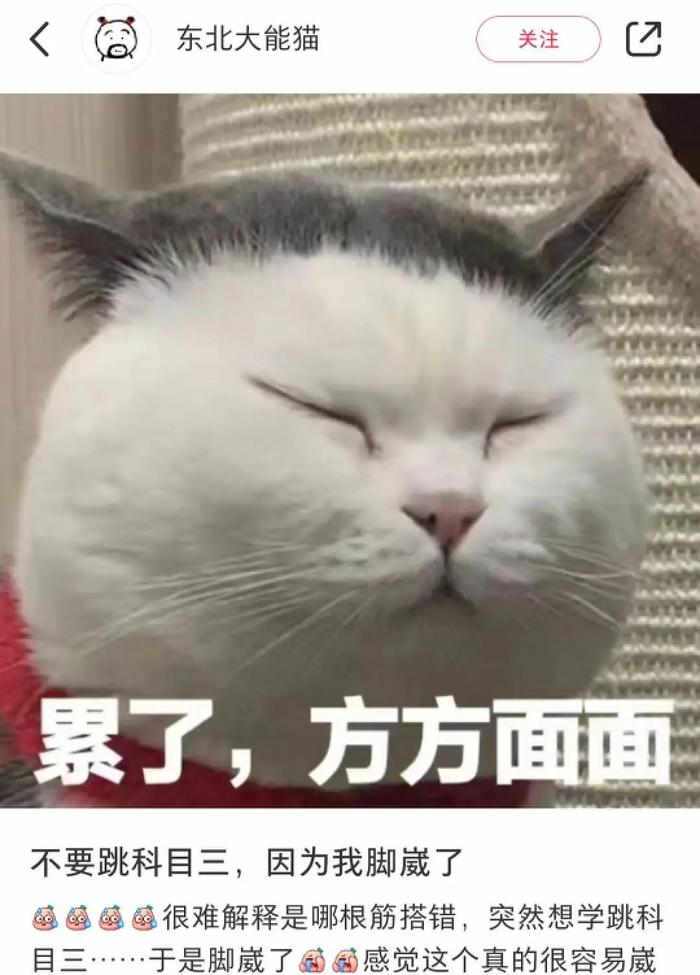 图源:小红书截图