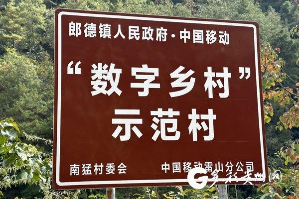 【乡村有“黔”景】雷山县南猛村：以“数字乡村”探索乡村振兴新路径