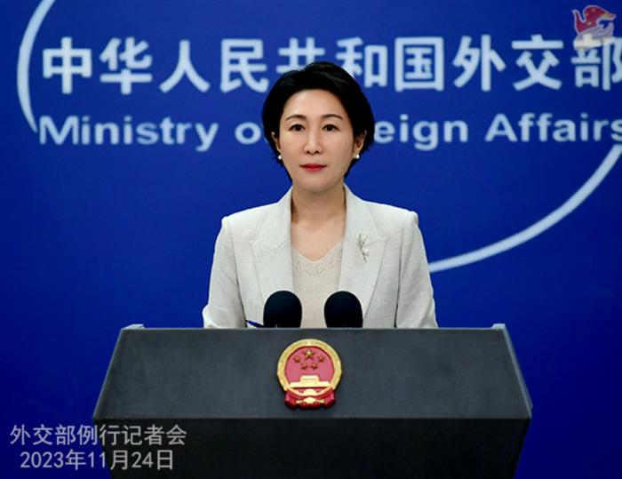 毛宁主持11月24日外交部例行记者会 图:外交部网站