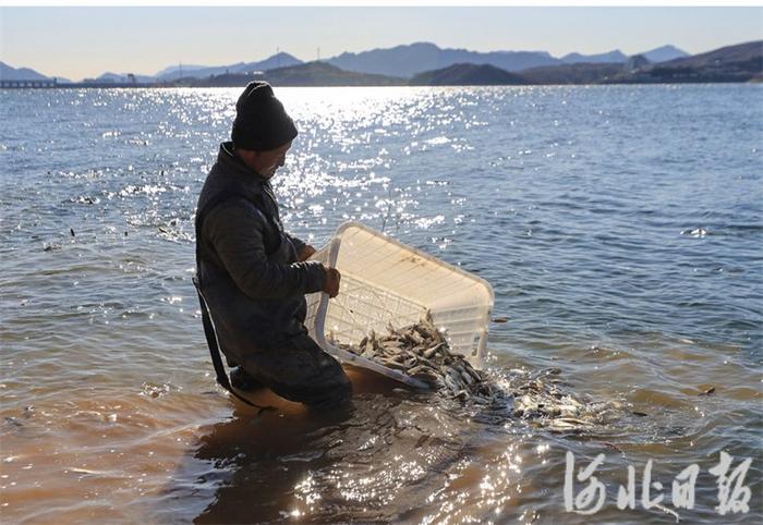 河北迁西：增殖放流护生态