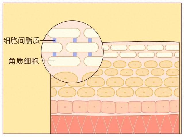 指甲周围总长倒刺，是缺维生素吗？