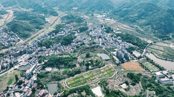 【大国新村：沿着总书记的足迹】浙江李祖：“水牛角村”的蝶变密码