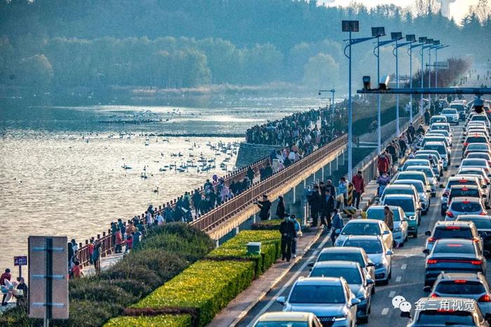 河南三门峡：冬季天鹅湖迎来旅游热